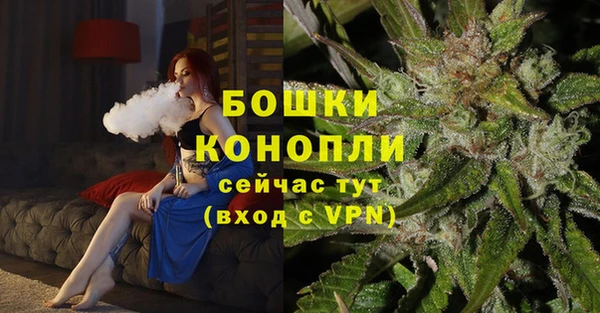 прущие грибы Болохово