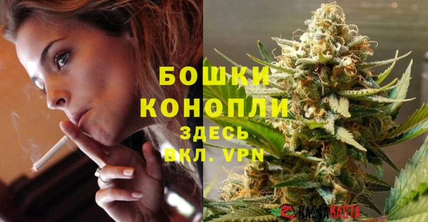 дурь Болотное