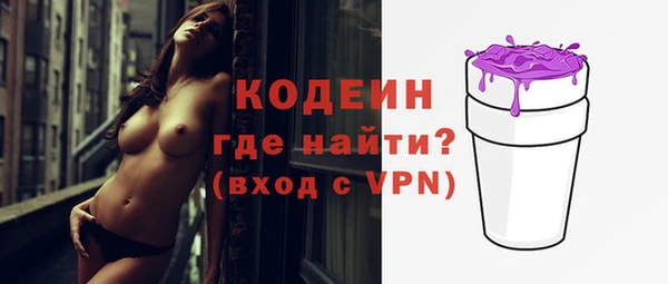 дурь Болотное