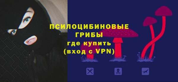 дурь Болотное