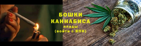 прущие грибы Болохово