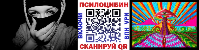 где продают   Камешково  Псилоцибиновые грибы Magic Shrooms 