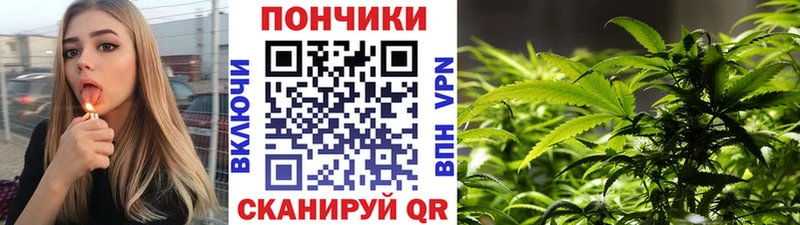 купить наркотик  блэк спрут ONION  Канабис тримм  Камешково 
